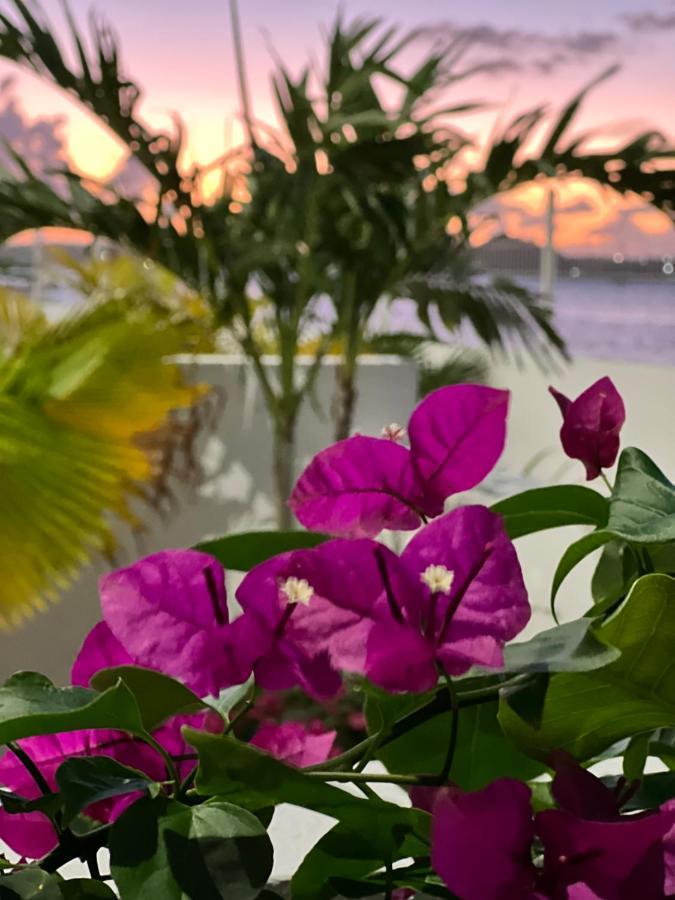 Studio Pirate Of The Caribbean 2 Sea View 马里戈特 外观 照片