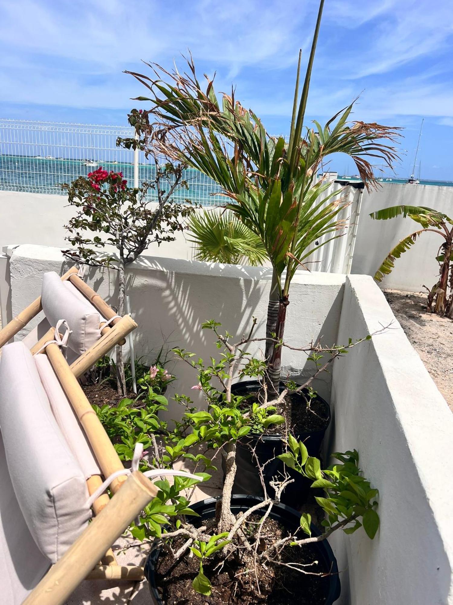 Studio Pirate Of The Caribbean 2 Sea View 马里戈特 外观 照片